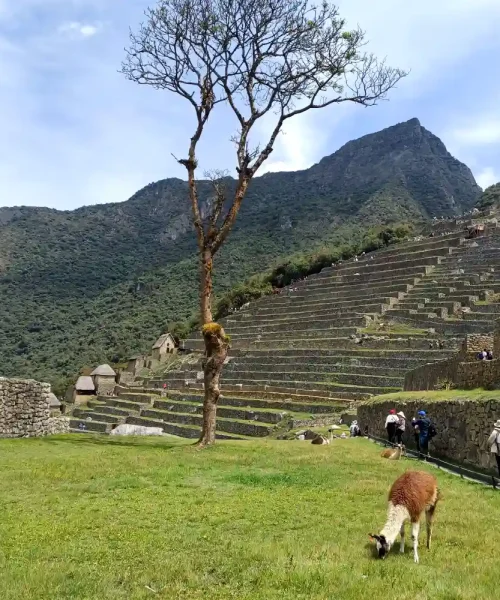 Peru Safe Family Photo 32